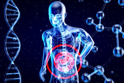 a 3d image of a human with a red circle in his stomach