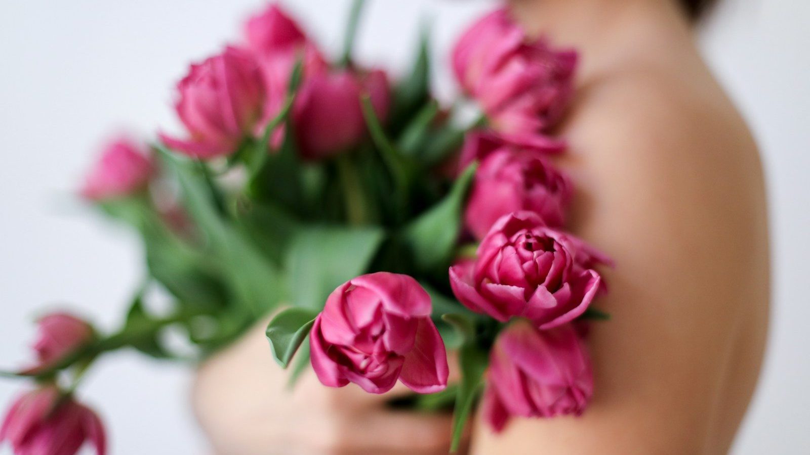 pink roses on persons lap